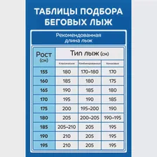 🛍 Беговые лыжи nordway Race combi, черный