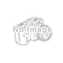 Ботинки лыжные FISCHER RC3 COMBI MY STYLE